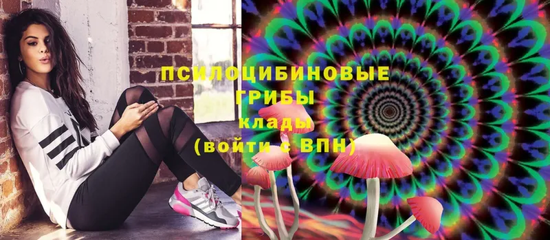 Галлюциногенные грибы Magic Shrooms  хочу наркоту  Лебедянь 